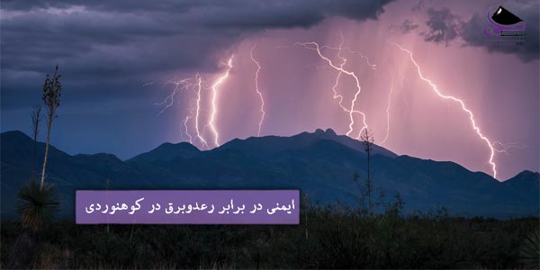 ایمنی در برابر رعدوبرق در طبیعت