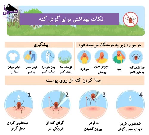 درمان گزش کنه
