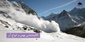 کالبدشناسی بهمن